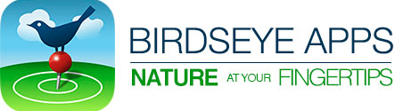 BIRDSEYE

BirdsEye is a unique and powerful tool that helps you discover the birds around you and find the birds you want to see. See more birds with BirdsEye!

BirdsEye is the perfect tool for birders of any level, naturalists and educators. The free version of BirdsEye also includes stunning and detailed photographs from many top birders, bird photographers and guides. 
