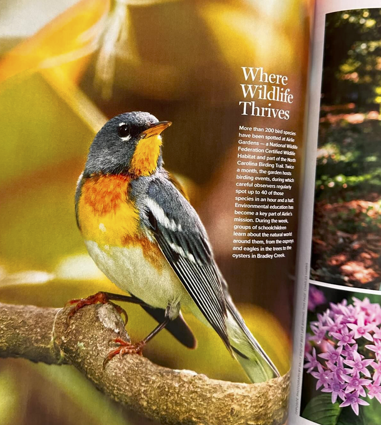 Best Life Birding in Our State magazine | Best Life Birding ...